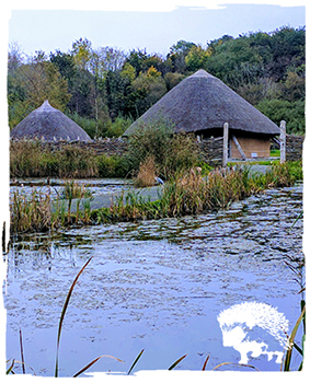 Roundhouses