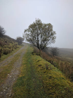 Road to Cheathrú Chaol (Carrowkeel)